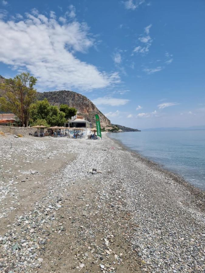 Thassa Beach Apartment No1 Leonídion Buitenkant foto